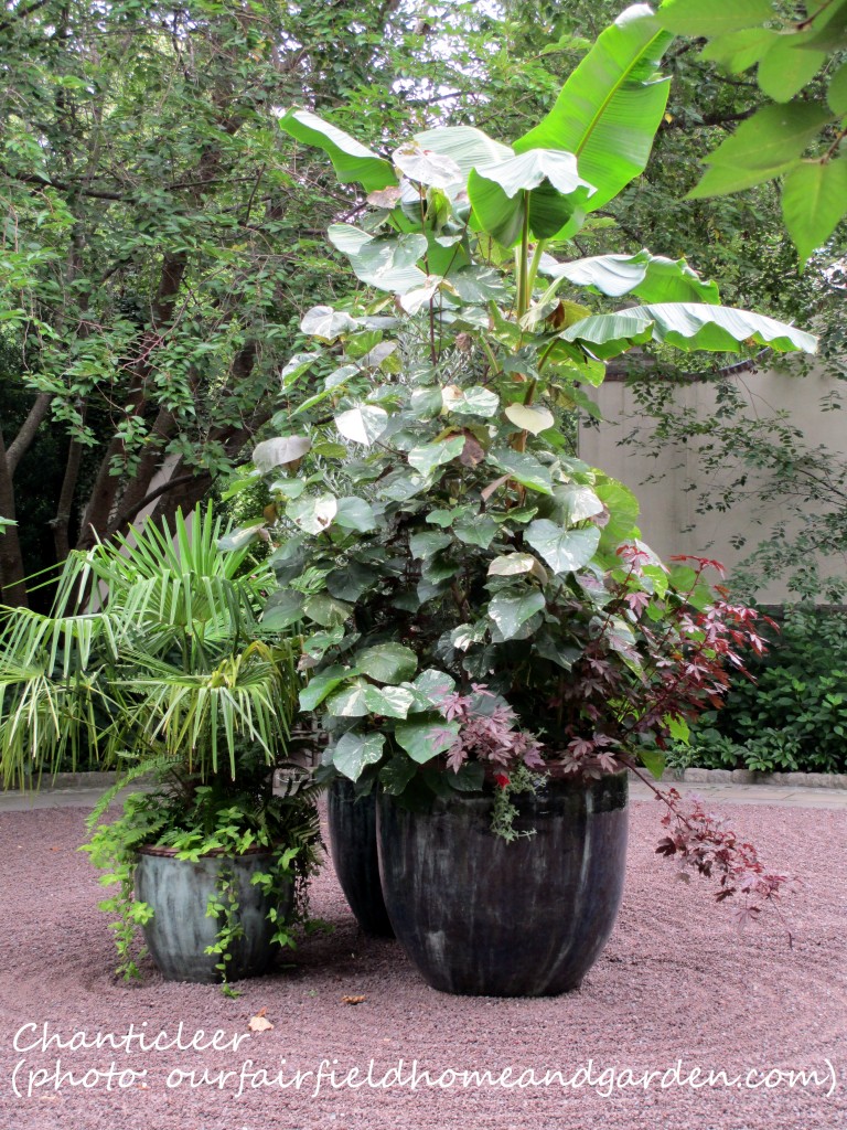 https://lolajack.jp.net/inspiring-gardens/chanticleer/