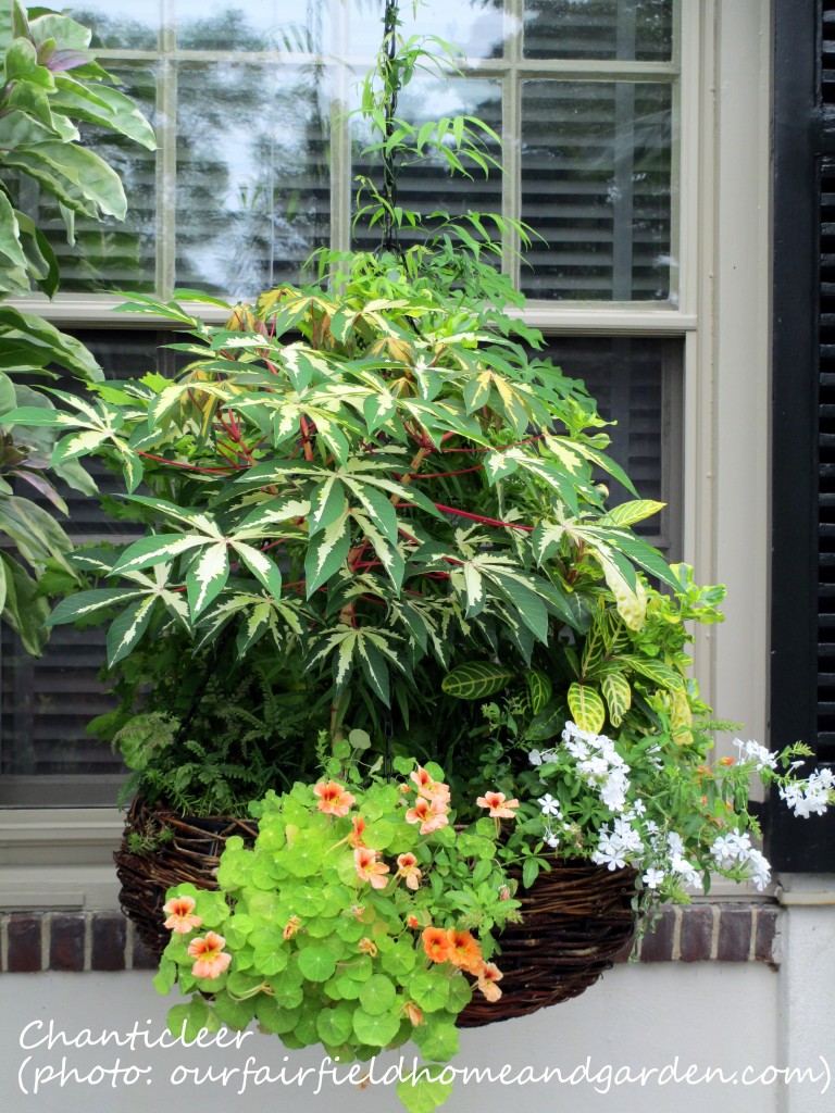 https://lolajack.jp.net/inspiring-gardens/chanticleer/