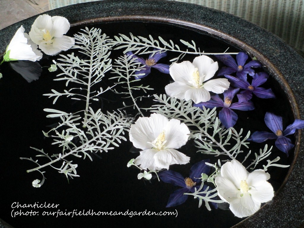 https://lolajack.jp.net/inspiring-gardens/chanticleer/