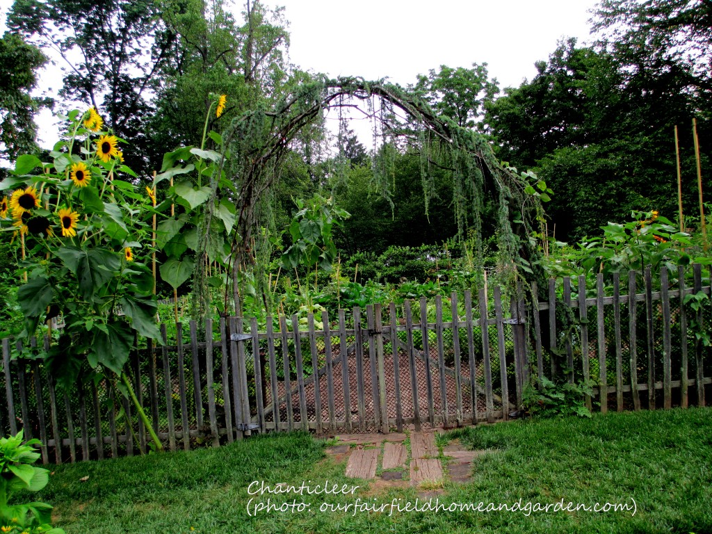 https://lolajack.jp.net/inspiring-gardens/chanticleer/