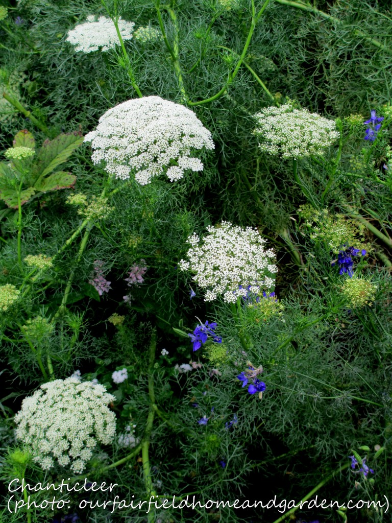 https://lolajack.jp.net/inspiring-gardens/chanticleer/