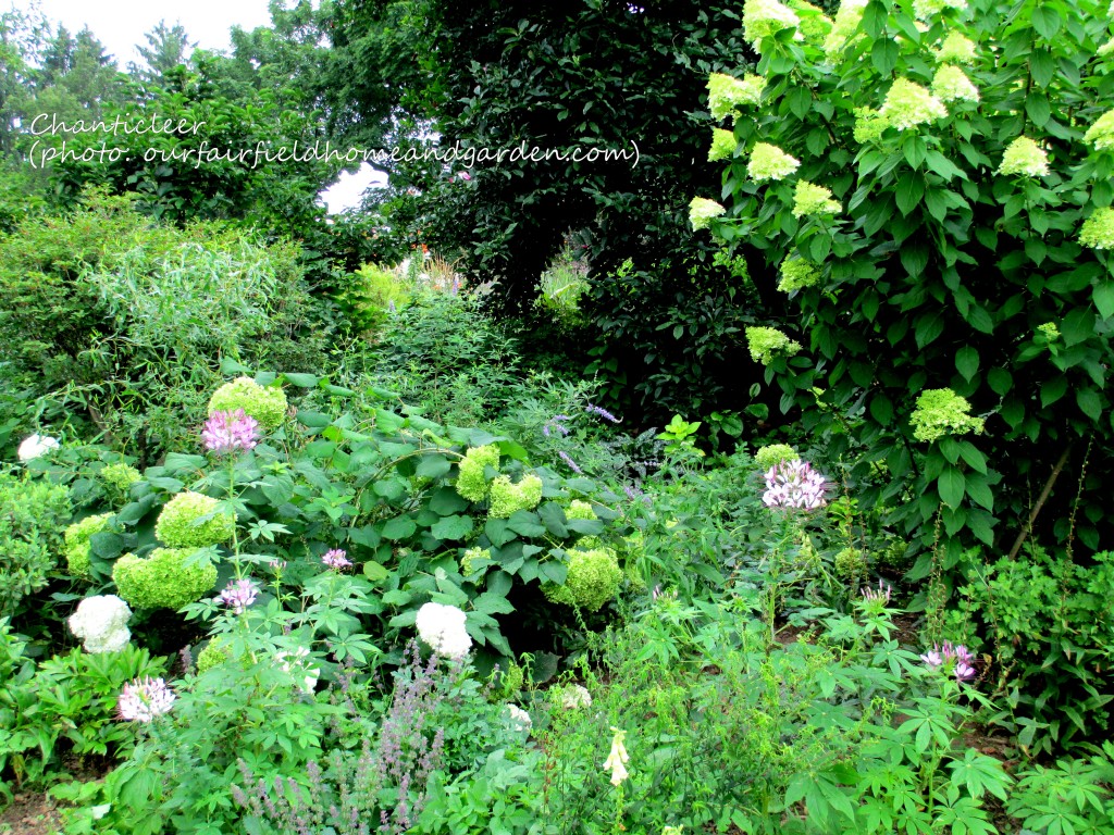 https://lolajack.jp.net/inspiring-gardens/chanticleer/