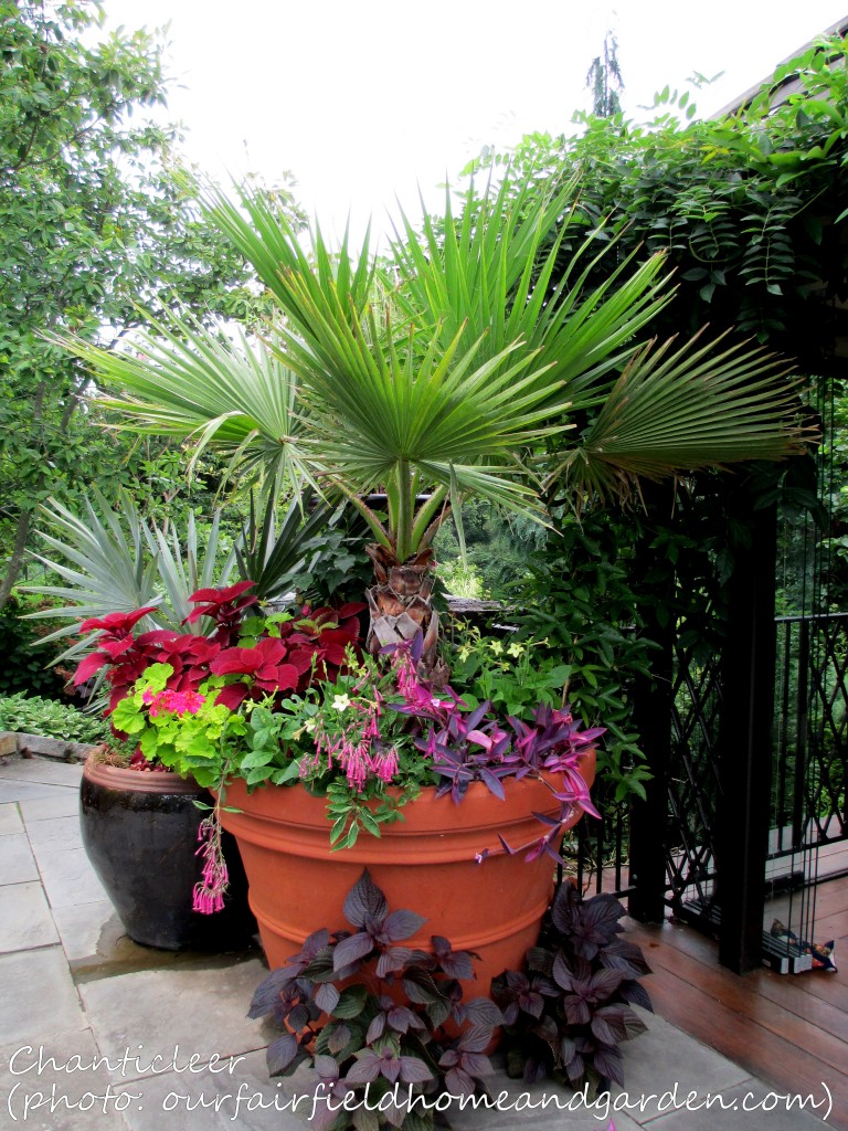 https://lolajack.jp.net/inspiring-gardens/chanticleer/