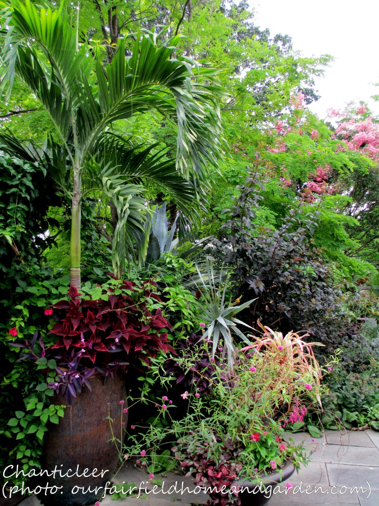 https://lolajack.jp.net/inspiring-gardens/chanticleer/