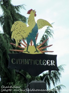 Chanticleer https://lolajack.jp.net/field-trip-the-unusual-and-romantic-gardens-of-chanticleer/