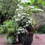 Chanticleer https://lolajack.jp.net/field-trip-the-unusual-and-romantic-gardens-of-chanticleer/