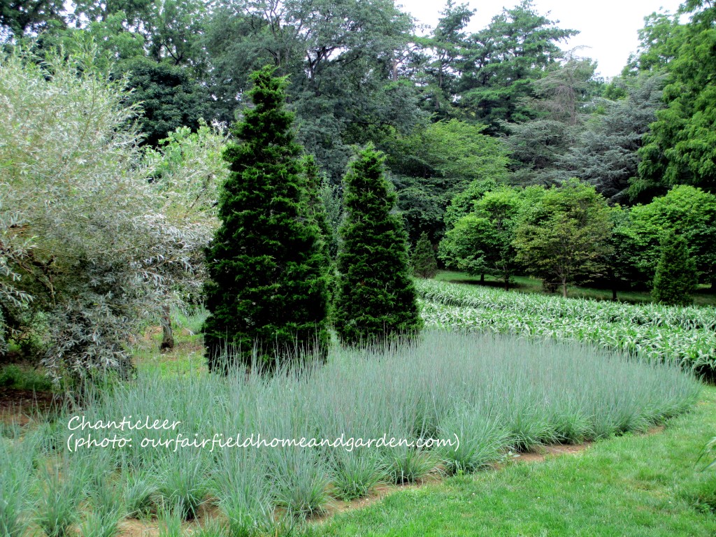 Chanticleer https://lolajack.jp.net/field-trip-the-unusual-and-romantic-gardens-of-chanticleer/
