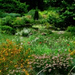 Chanticleer https://lolajack.jp.net/field-trip-the-unusual-and-romantic-gardens-of-chanticleer/