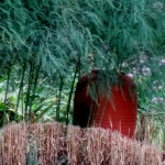 Chanticleer https://lolajack.jp.net/field-trip-the-unusual-and-romantic-gardens-of-chanticleer/