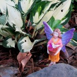 https://lolajack.jp.net/diy-project-create-your-own-fairy-terrarium/