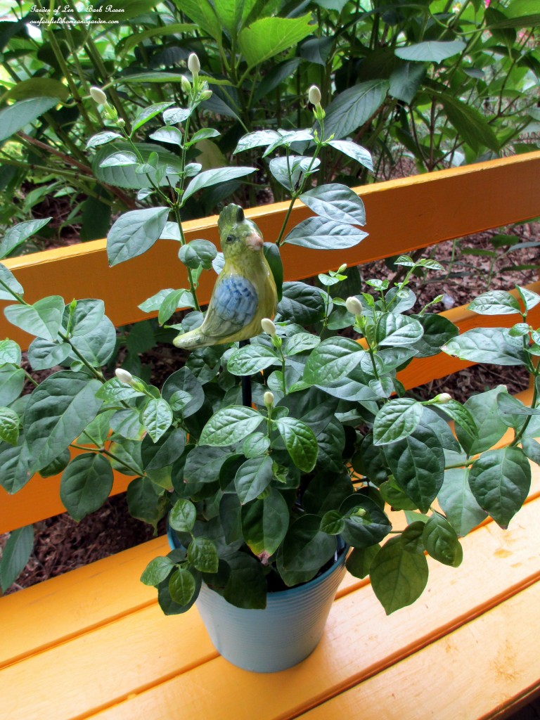 plant pokes https://lolajack.jp.net/diy-project-plant-pokes-from-vintage-salt-pepper-shakers/