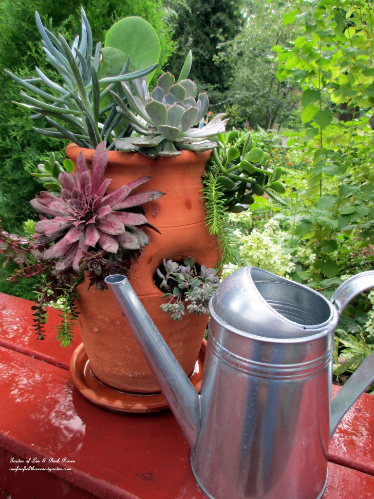 succulent strawberry pot https://lolajack.jp.net/diy-project-succulent-planter-pot/