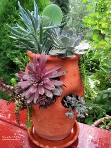https://lolajack.jp.net/diy-project-succulent-planter-pot/