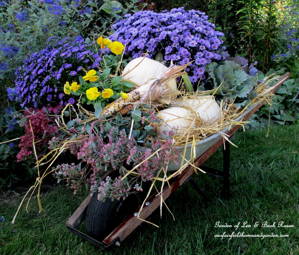 https://lolajack.jp.net/our-fairfield-home-garden-welcomes-fall/