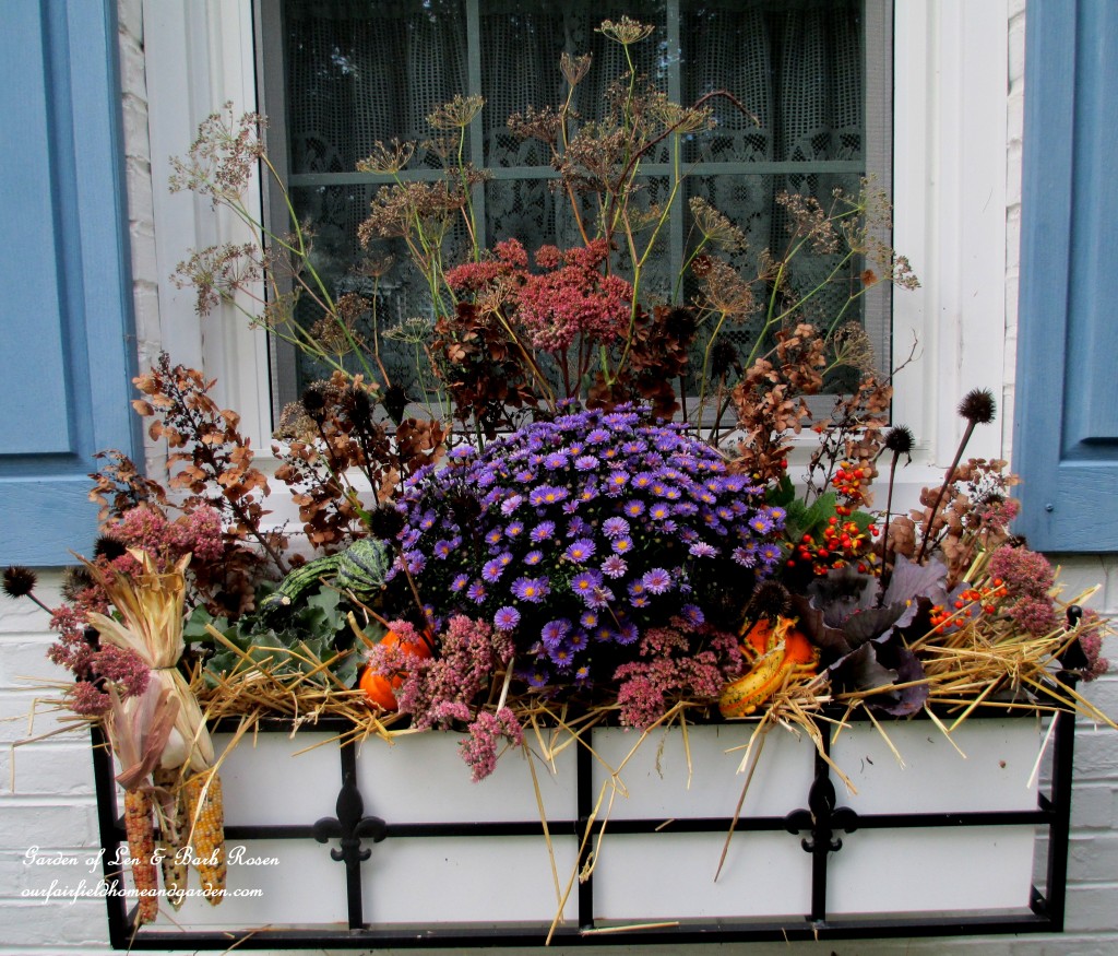 https://lolajack.jp.net/our-fairfield-home-garden-welcomes-fall/