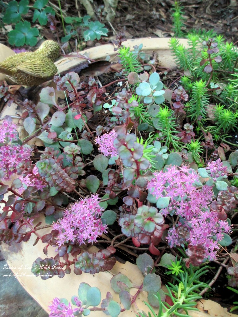 https://lolajack.jp.net/our-fairfield-home-garden-welcomes-fall/