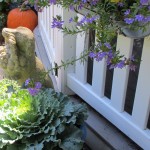 https://lolajack.jp.net/our-fairfield-home-garden-welcomes-fall/
