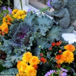 https://lolajack.jp.net/our-fairfield-home-garden-welcomes-fall/