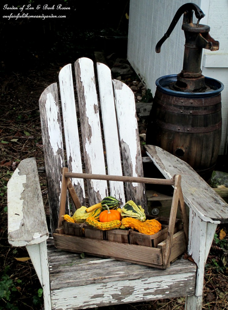 https://lolajack.jp.net/our-fairfield-home-garden-welcomes-fall/