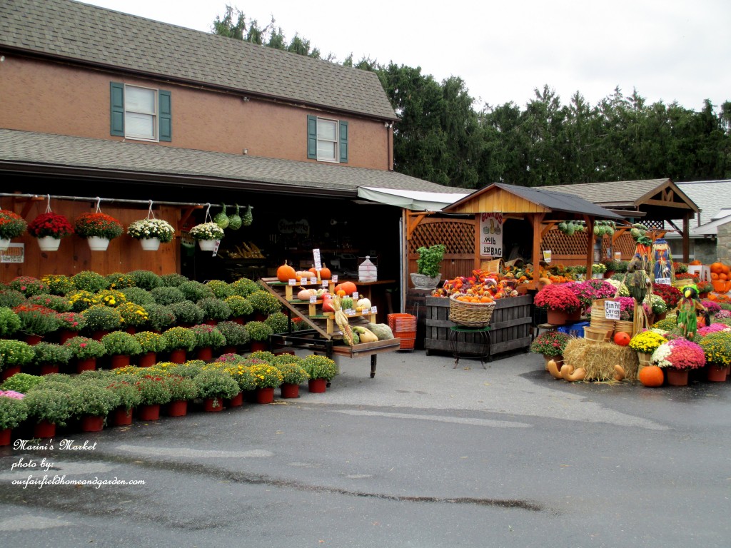 Marini's Market In Fall https://lolajack.jp.net/field-trip-gourds-galore-and-norman-the-pot-bellied-pig-at-marinis-market/