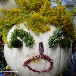 Sally Solidago Punkin' Head https://lolajack.jp.net/getting-into-the-spirit-of-halloween-insert-spooky-music-here/