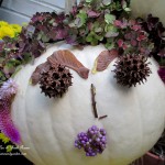 Helen Hydrangea Punkin' Head https://lolajack.jp.net/getting-into-the-spirit-of-halloween-insert-spooky-music-here/