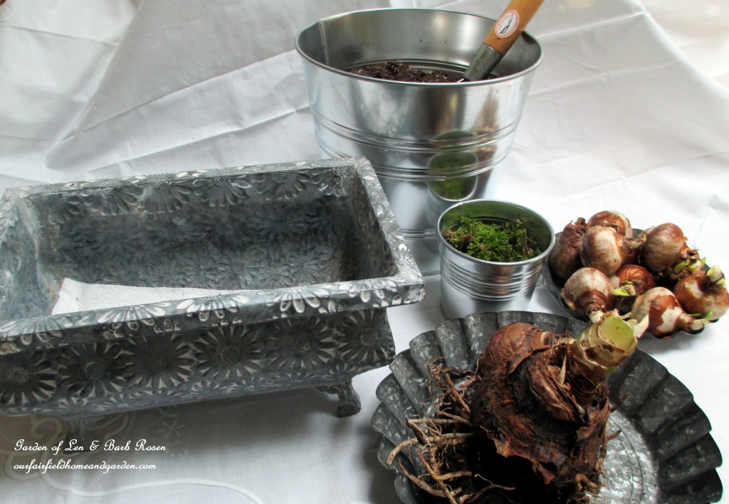 forcing bulbs https://lolajack.jp.net/diy-project-save-money-by-creating-your-own-fancy-potted-paperwhites-amaryllis-bulb-gardens-as-holiday-gifts-or-decorations/
