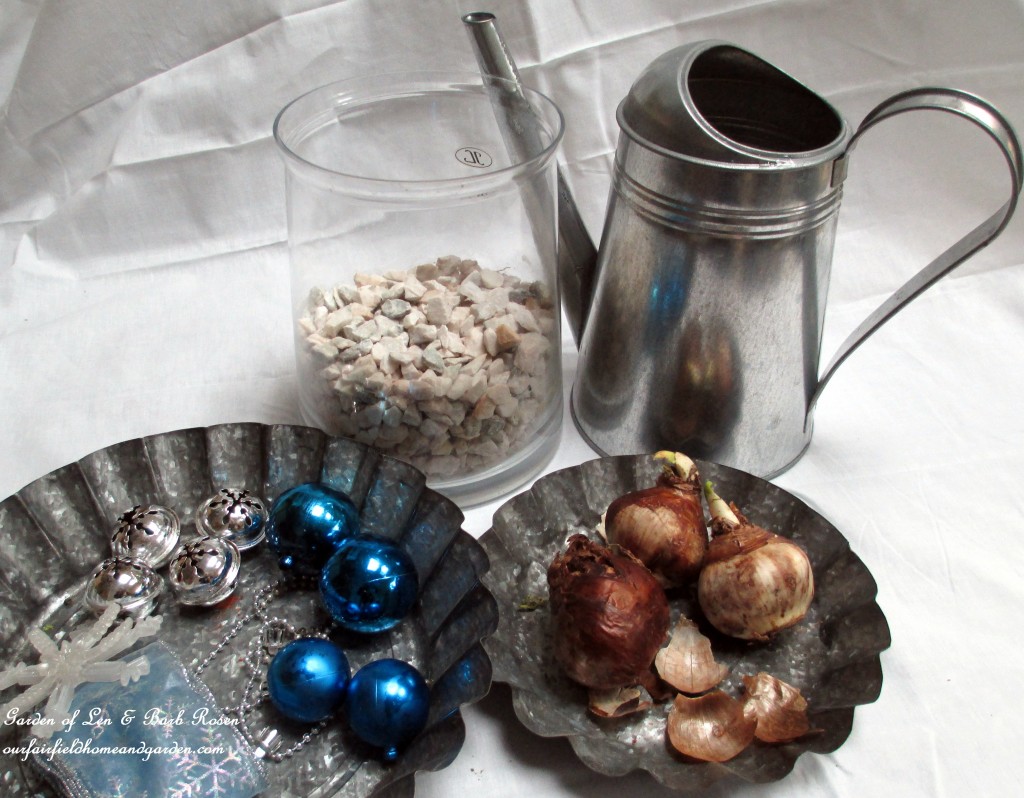 forcing bulbs https://lolajack.jp.net/diy-project-save-money-by-creating-your-own-fancy-potted-paperwhites-amaryllis-bulb-gardens-as-holiday-gifts-or-decorations/