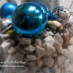 forcing bulbs https://lolajack.jp.net/diy-project-save-money-by-creating-your-own-fancy-potted-paperwhites-amaryllis-bulb-gardens-as-holiday-gifts-or-decorations/