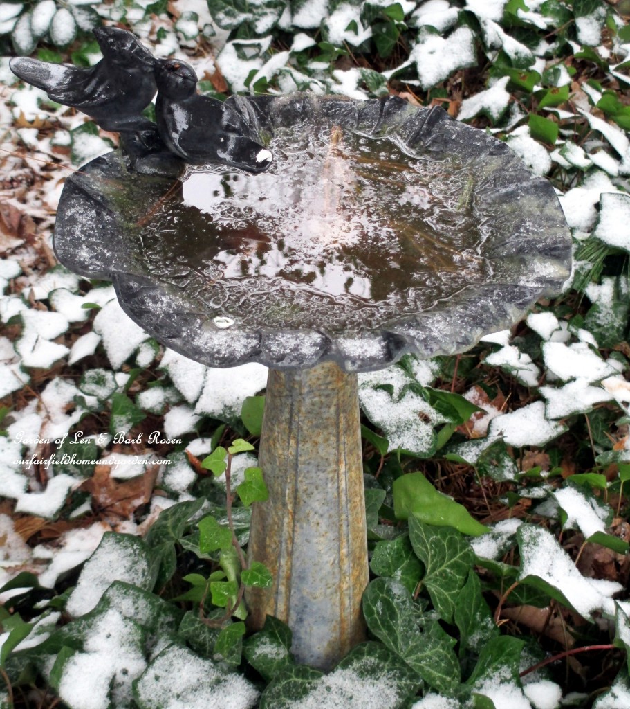 Birdbath under a pine https://lolajack.jp.net/winter-wonderland-it-finally-snowed/