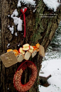 Rake Bird Buffet https://lolajack.jp.net/diy-project-turn-a-rake-head-into-a-bird-buffet/
