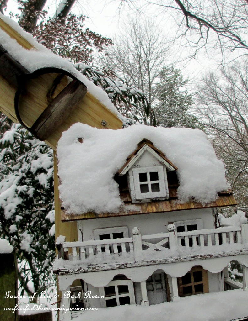 Back Fence Birdhouse https://lolajack.jp.net/winter-wonderland-it-finally-snowed/