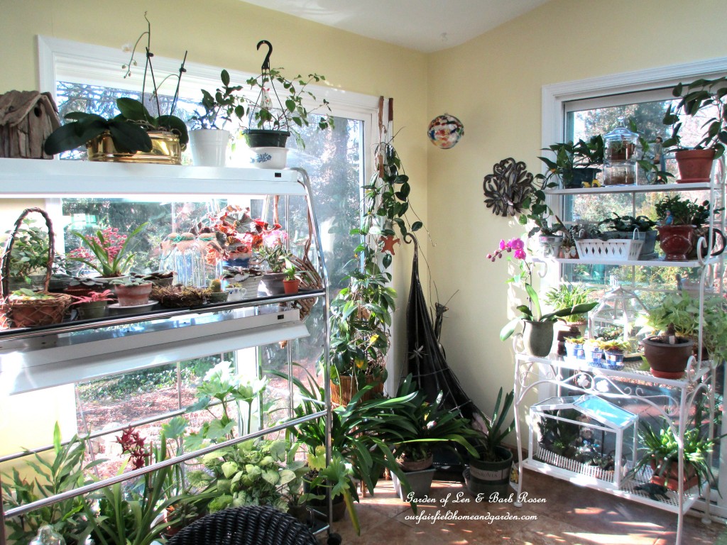 sunny Garden Room on a January morning https://lolajack.jp.net/my-winter-sanctuary-scenes-from-a-garden-room/