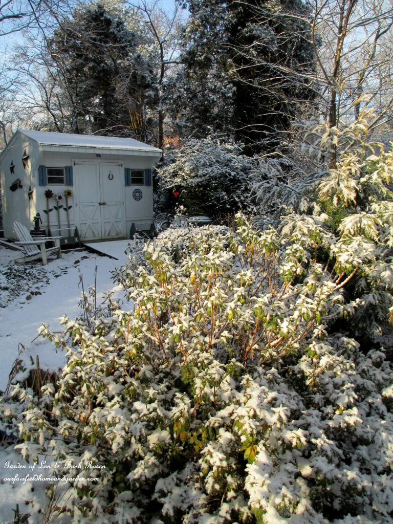 back to the garden shed https://lolajack.jp.net/january-winter-garden/