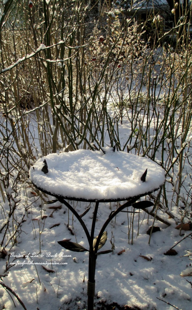 frozen bird bath https://lolajack.jp.net/january-winter-garden/