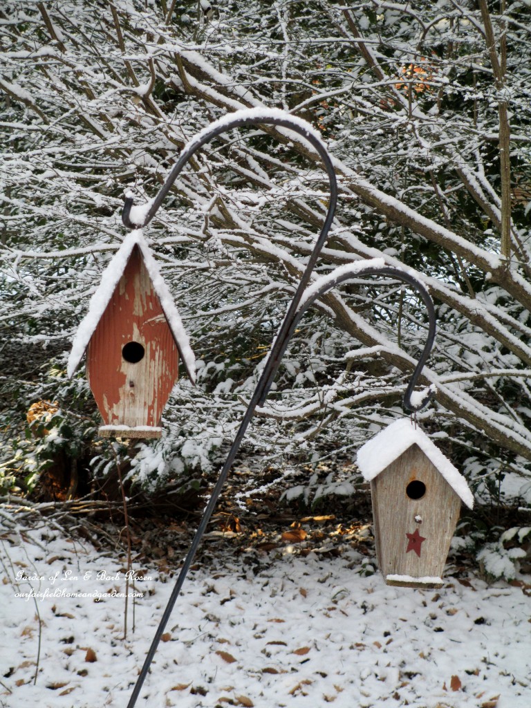 birdhouses in the snow https://lolajack.jp.net/january-winter-garden/