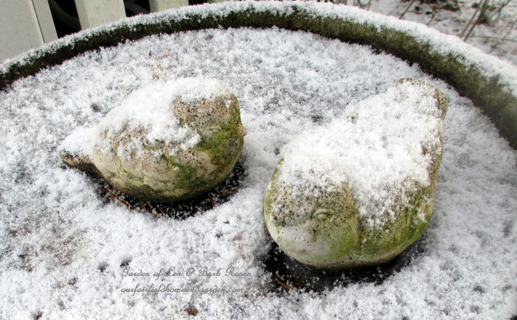snowy bird bath https://lolajack.jp.net/january-winter-garden/