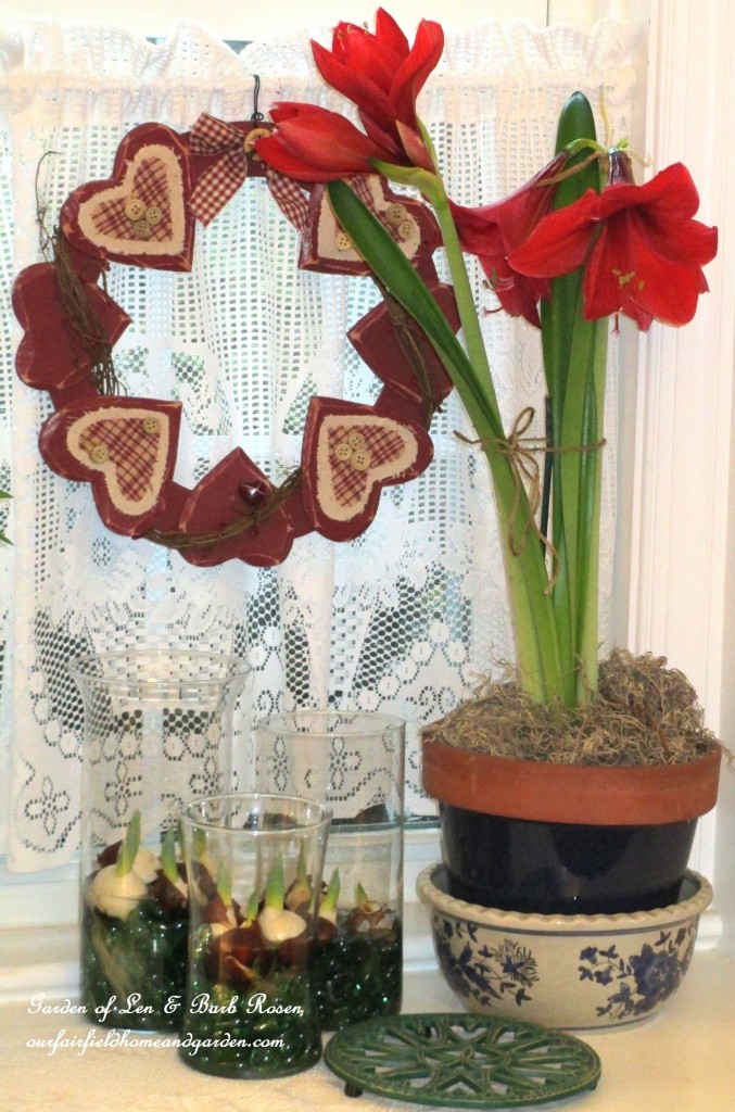 Amaryllis & tulips starting to sprout in vases https://lolajack.jp.net/be-my-valentine-valentine-decor/
