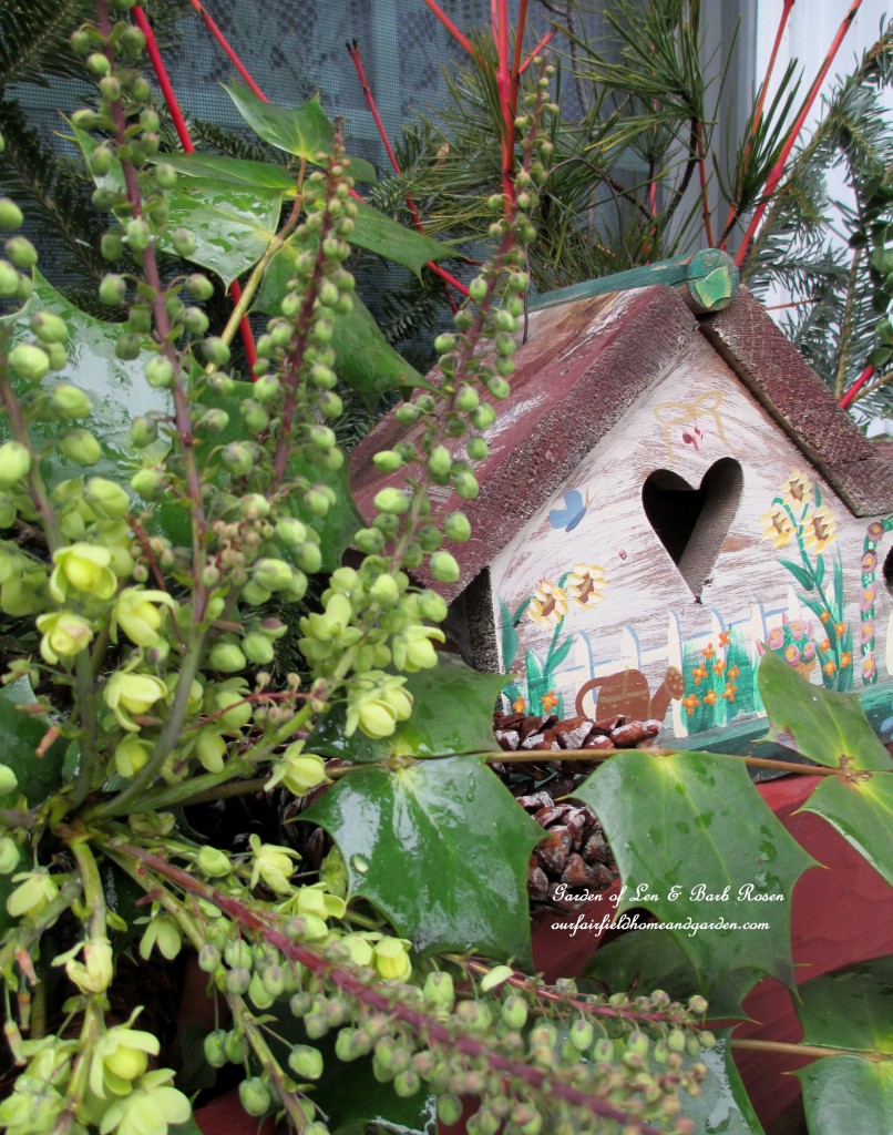 Mahonia provides the bloom in the window box https://lolajack.jp.net/heart-home-valentines-day-is-coming/