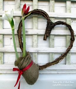 Amaryllis Heart Wreath https://lolajack.jp.net/diy-amaryllis-heart-wreath/