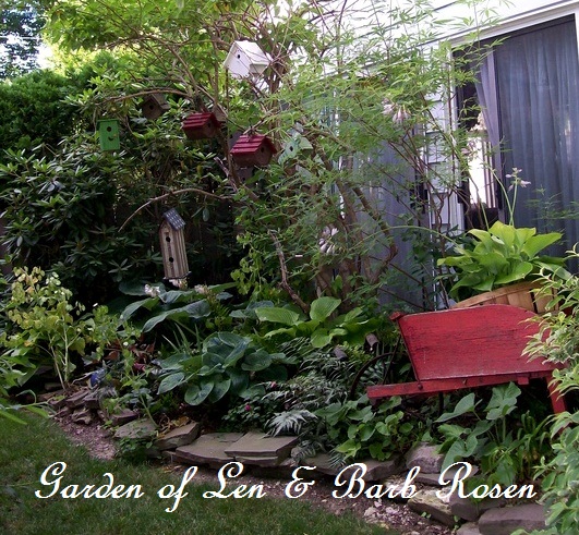 tiny side yard garden https://lolajack.jp.net/a-trip-down-memory-lane-my-former-garden/
