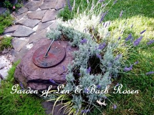 https://lolajack.jp.net/a-trip-down-memory-lane-my-former-garden/