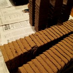 Peat pots, plant trays, potting mix and seeds are all you need! https://lolajack.jp.net/dch-workshop-pushing-spring-early-planting-for-the-impatient-gardener-with-alice-george-davis/