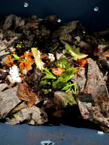 composting with worms in a tub ~ vermicomposting https://lolajack.jp.net/diy-project-vermicomposting-in-a-tub-in-a-few-easy-steps/