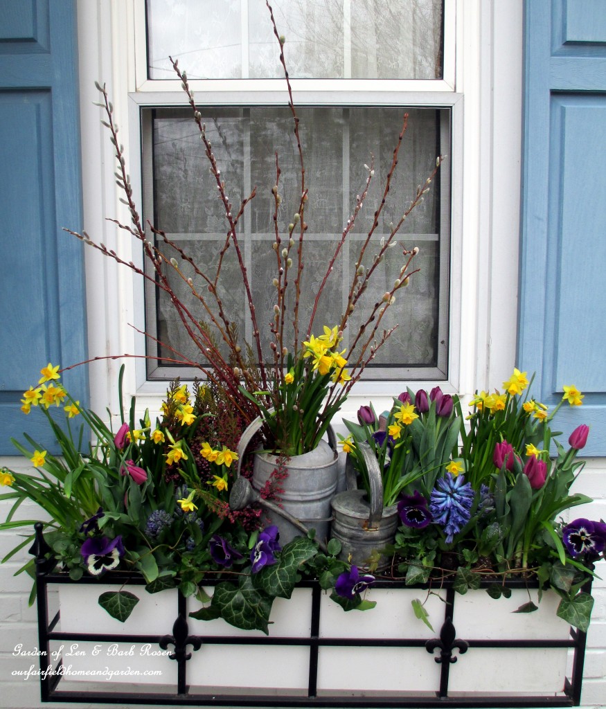 Spring bulbs, heather, pussy willow and ivy https://lolajack.jp.net/diy-project-welcome-spring-time-to-change-the-window-boxes/