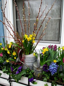 Welcome spring with a windowbox full of spring blooms! https://lolajack.jp.net/diy-project-welcome-spring-time-to-change-the-window-boxes/