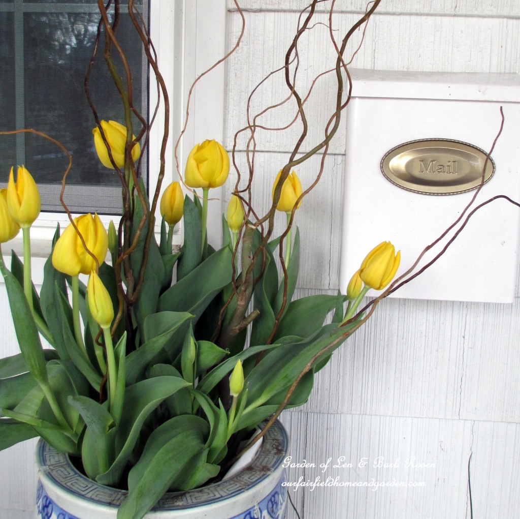 spring tulips https://lolajack.jp.net/spring-is-busting-out-all-over/