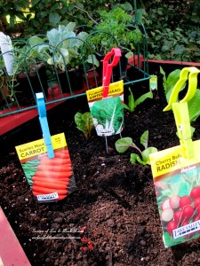 Make raised planting beds for free! https://lolajack.jp.net/diy-project-raised-beds-for-free/