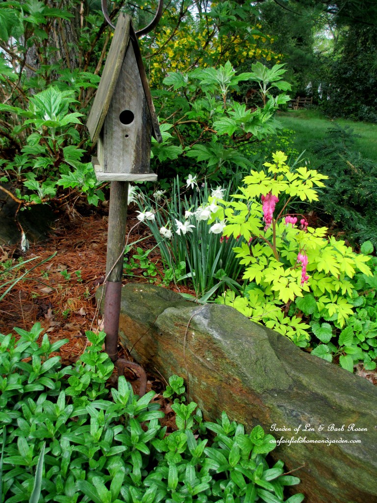 front driveway flower bed https://lolajack.jp.net/the-merry-merry-month-of-may/