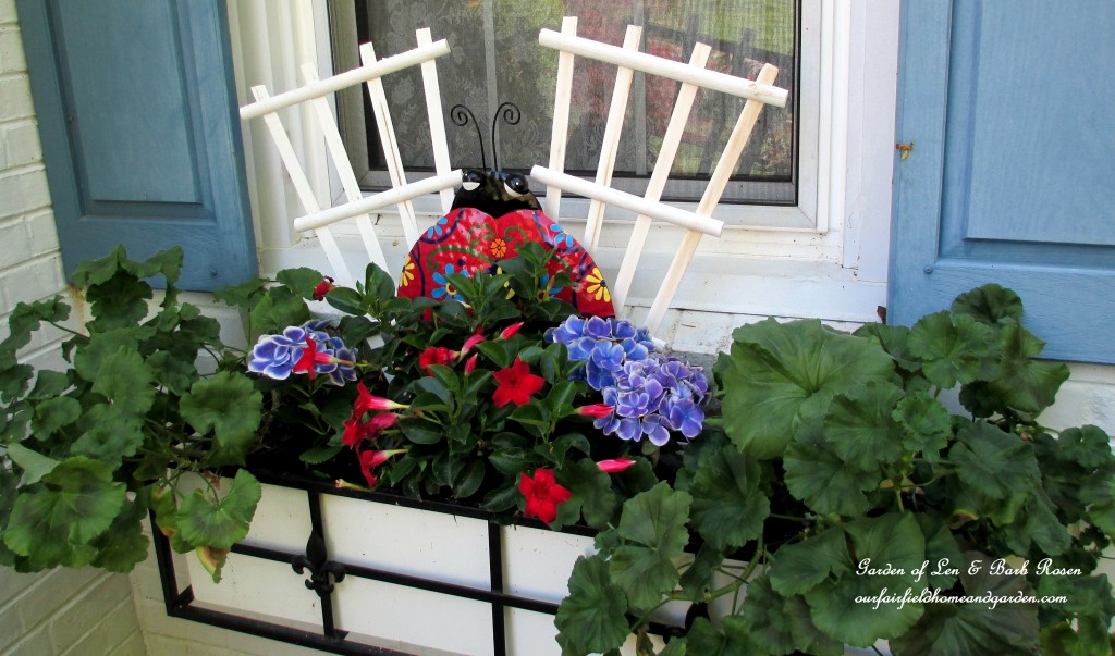 window box with geraniums, hydrangea and mandevilla https://lolajack.jp.net/the-merry-merry-month-of-may/